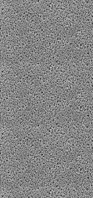 Filtry membránové WHATMAN - regenerovaná celulóza