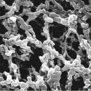 Filtry membránové MILLIPORE MF - smíšené estery celulózy